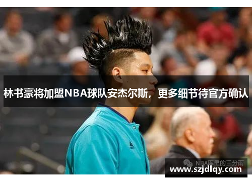 林书豪将加盟NBA球队安杰尔斯，更多细节待官方确认